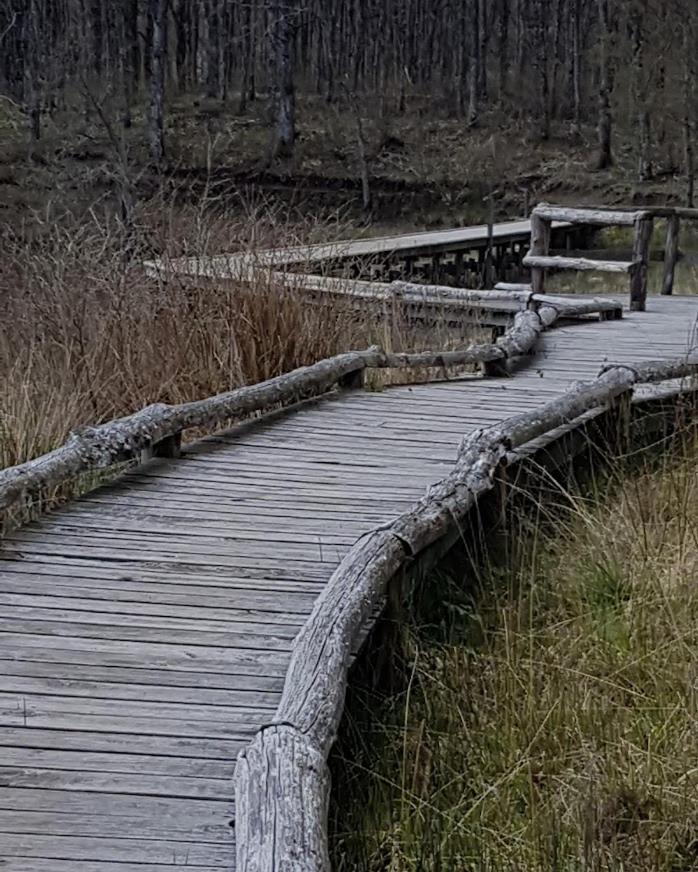 Chambre D'Hote La Passerelle Mazamet Dış mekan fotoğraf